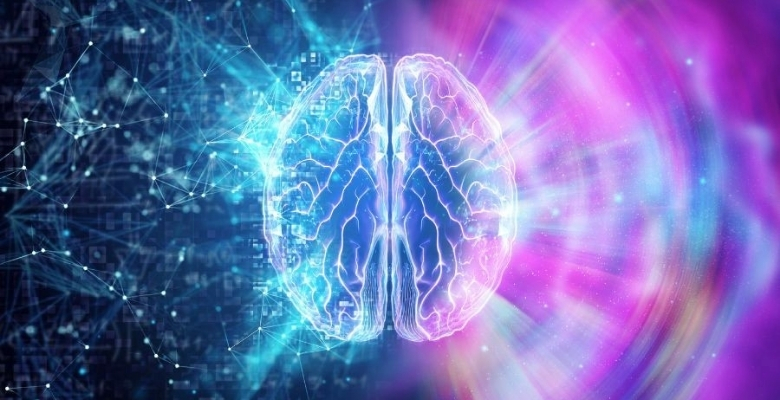 Contributo português na identificação dos circuitos cerebrais associados à perturbação obsessivo-compulsiva